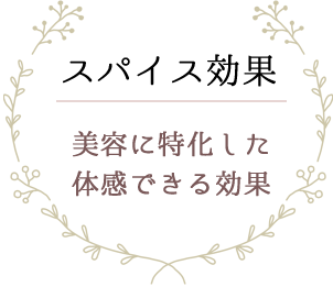 スパイス効果 美容に特化した体感できる効果